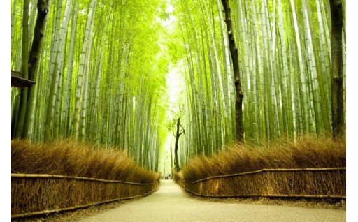 【京都市】こころのふるさと 京都の景観をつぎの世代へ！