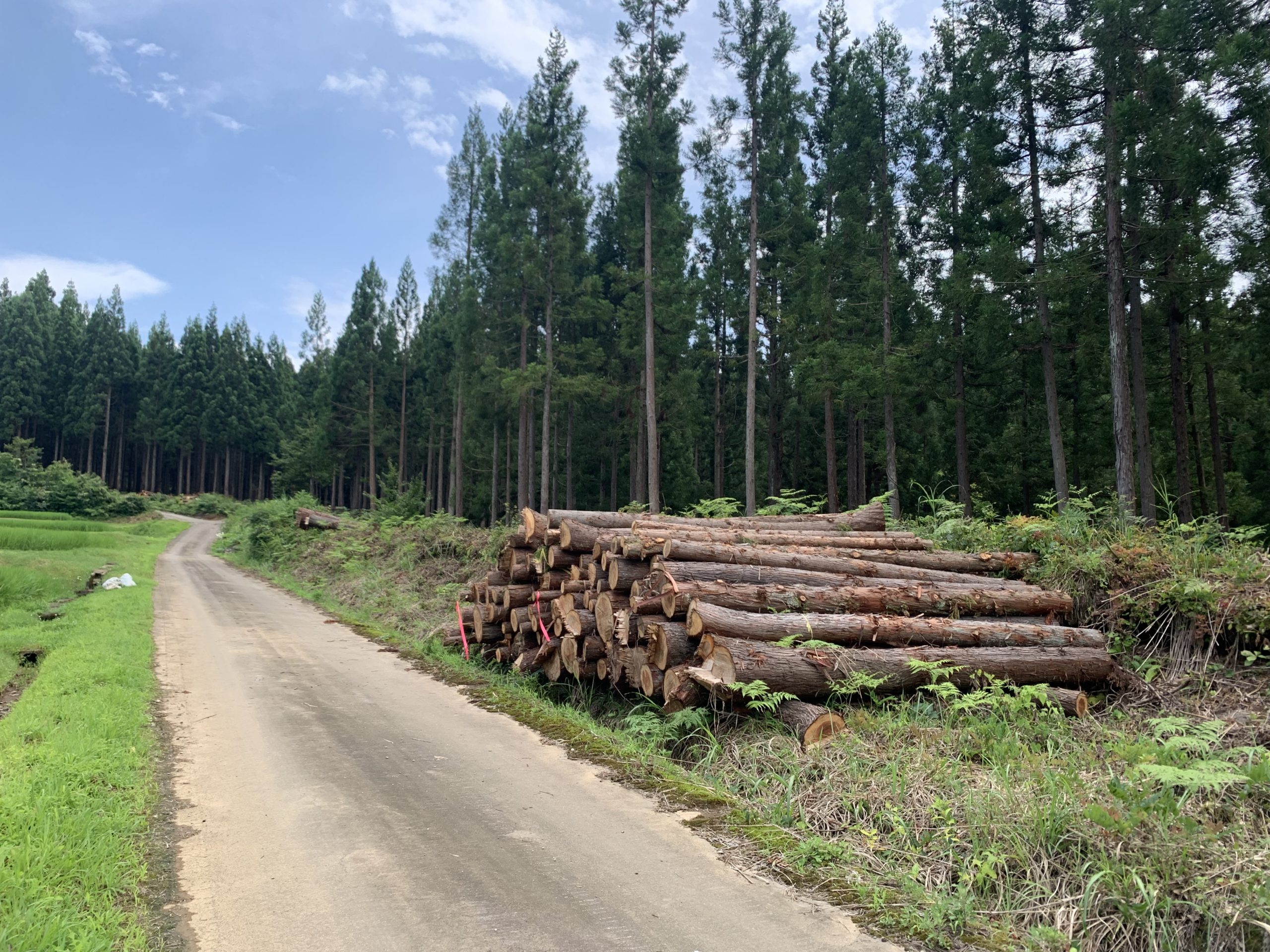 【十日町市】鳥獣被害対策と森林整備の促進