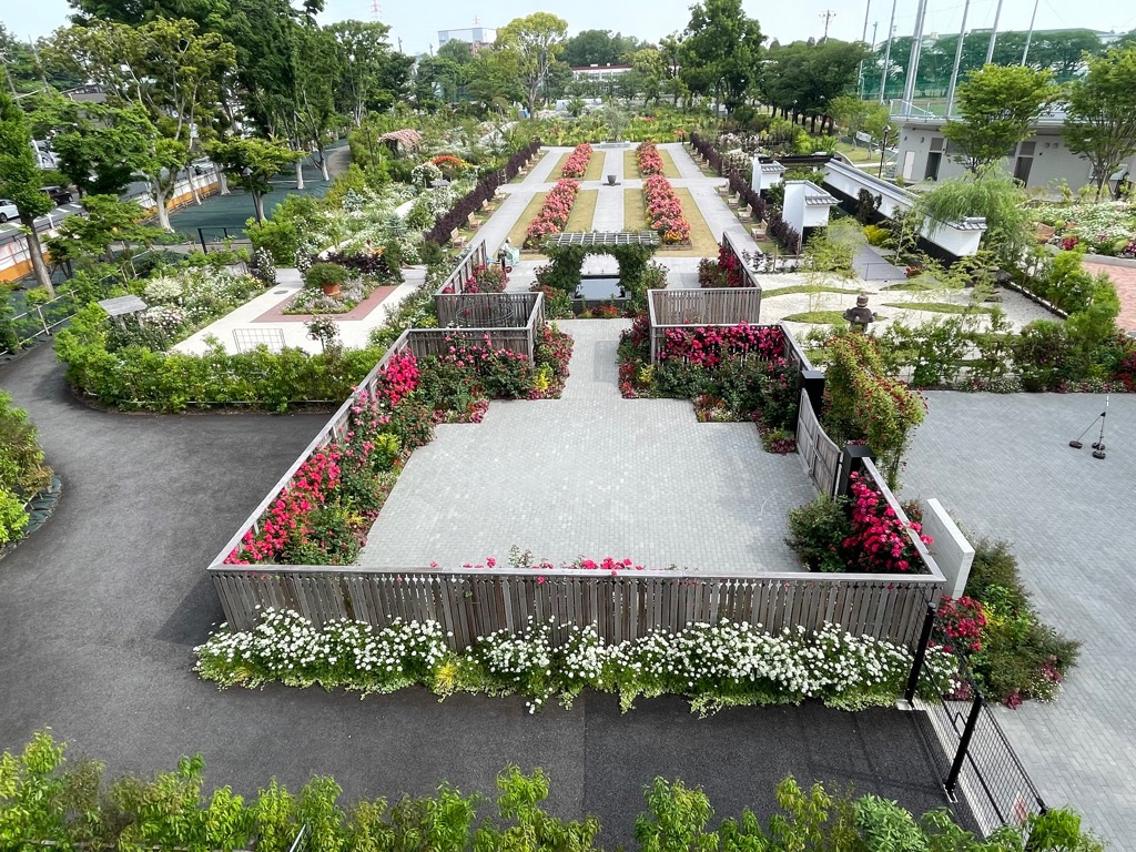 【綾瀬市】あやせローズガーデン維持管理事業