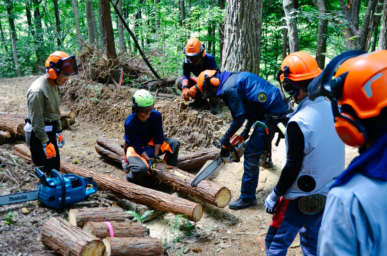 岩手町】人口減少対策 - 企業版ふるさと納税の総合窓口