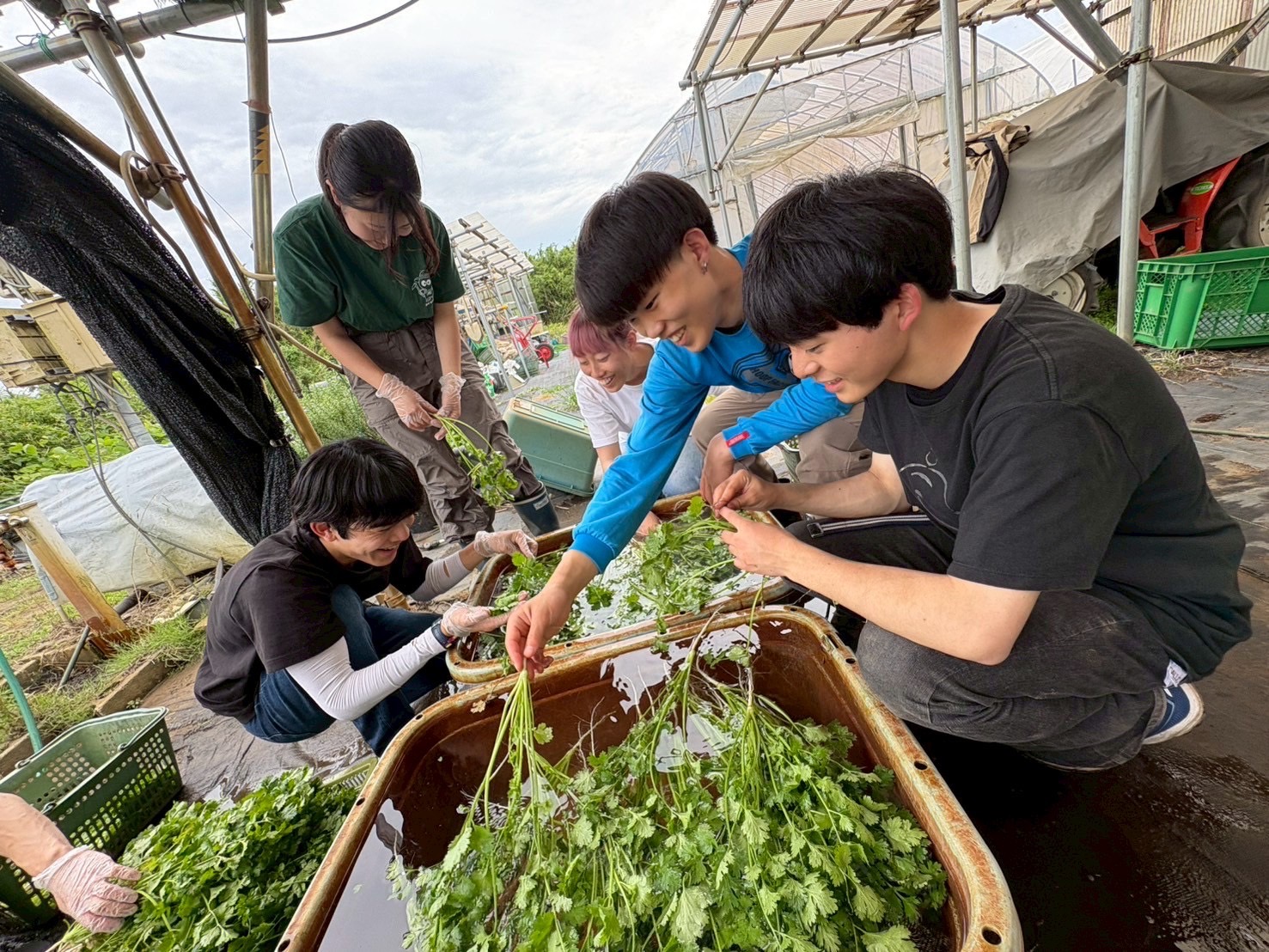 【大網白里市】【若者が集まるまち】 東大生×大網白里市 地域おこしプロジェクト