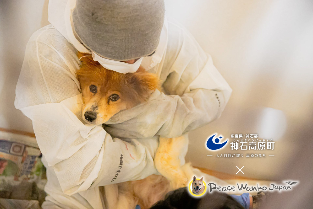 金工作家　岩瀬清鳳　清風　犬 金工作家 岩瀬清鳳 清風 犬 金工作家 岩瀬清鳳 清風 犬 金工作家 岩瀬