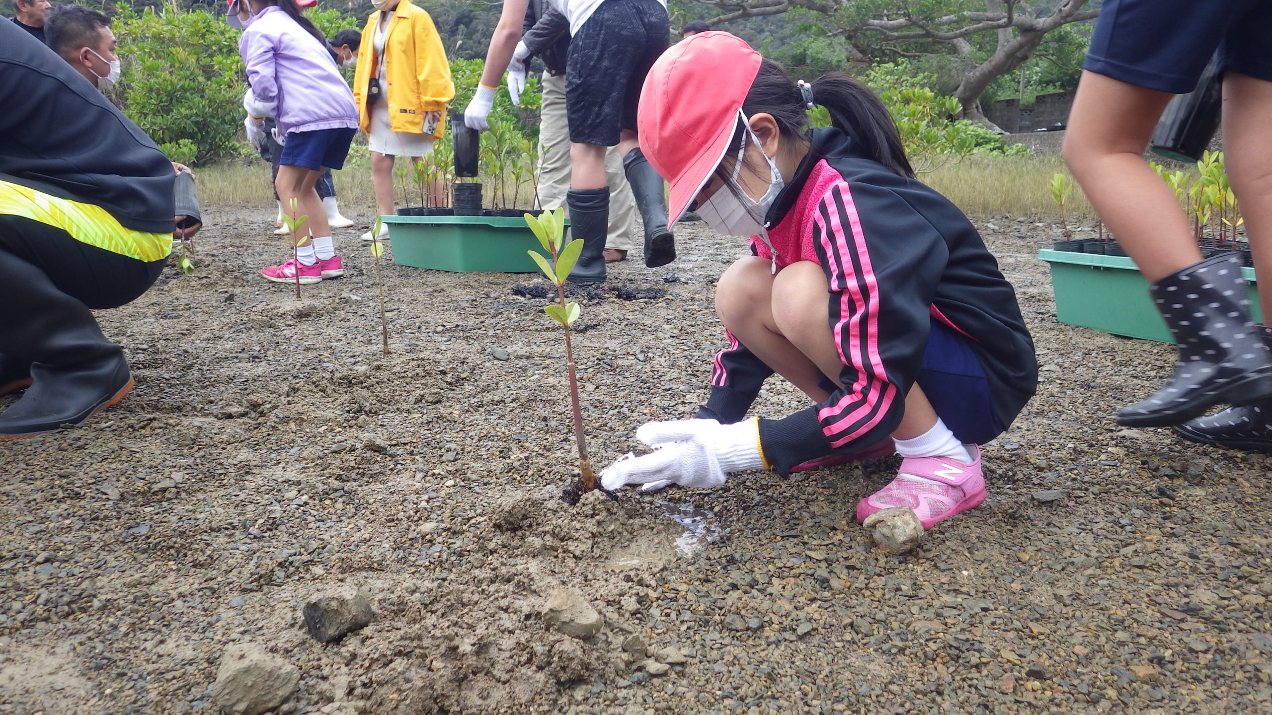 【瀬戸内町】～大島海峡ゼロカーボン推進プロジェクト～