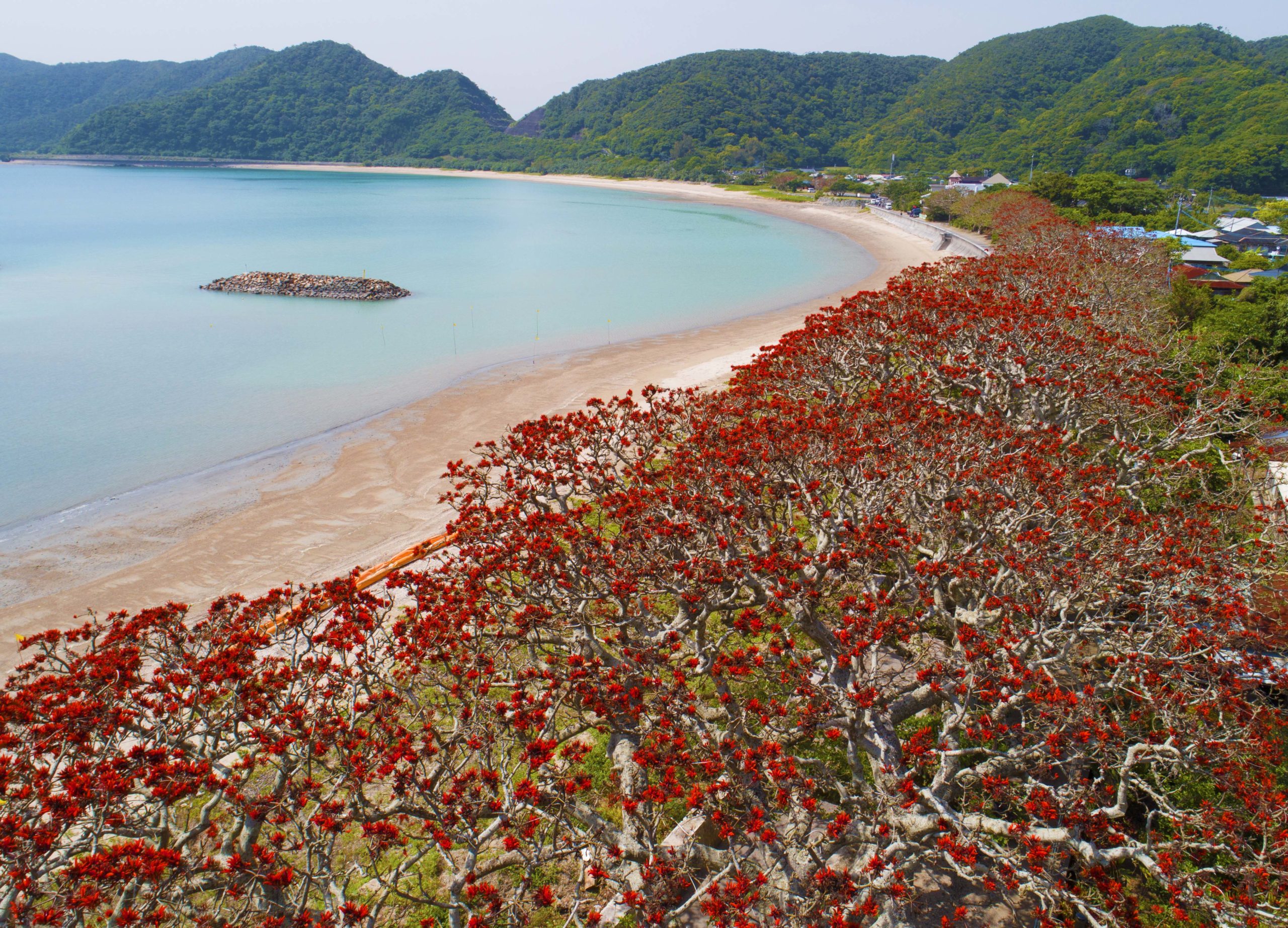 【瀬戸内町】瀬戸内町まち・ひと・しごと創生推進事業
