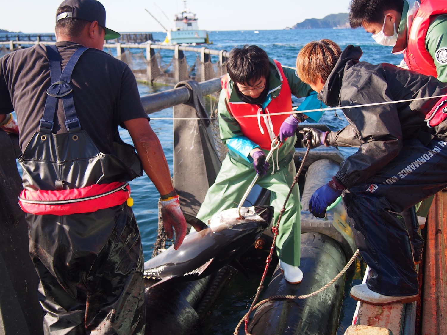 【南伊勢町】活力ある産業・経済プロジェクト