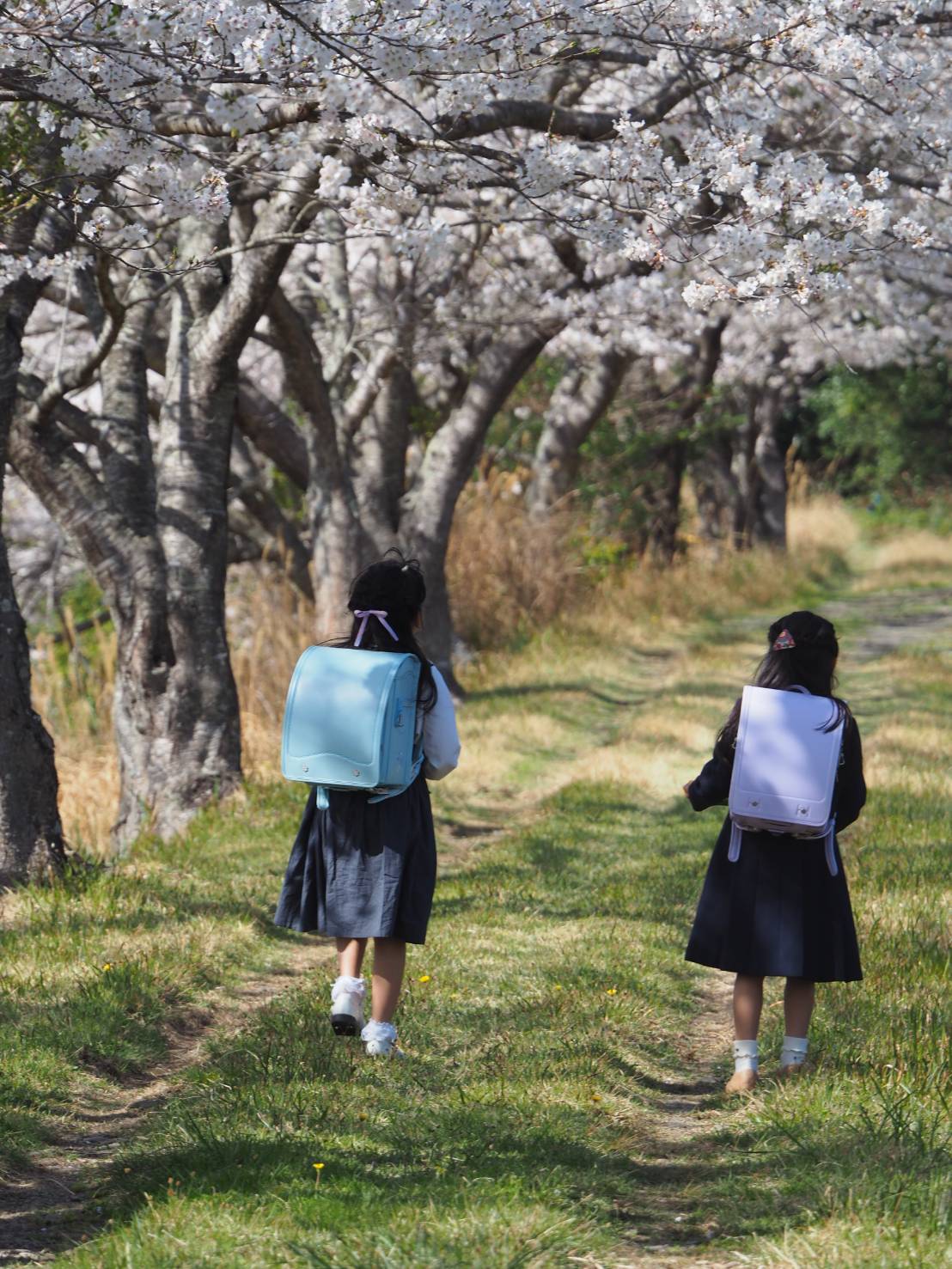 【南伊勢町】子育て応援プロジェクト