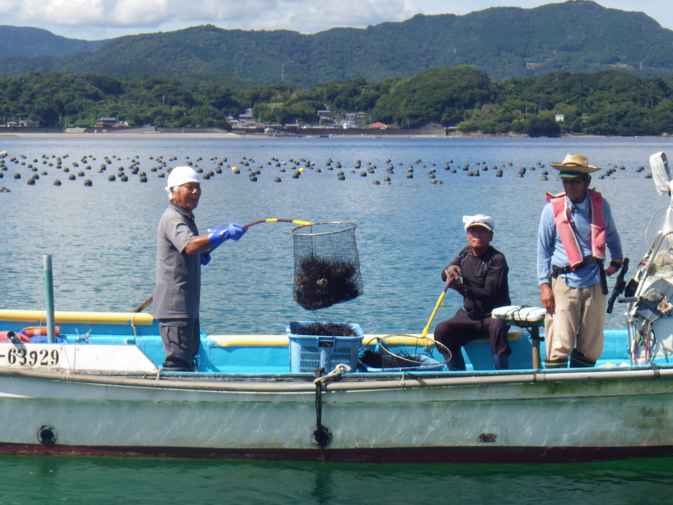 【南伊勢町】輝きをもてるまちプロジェクト
