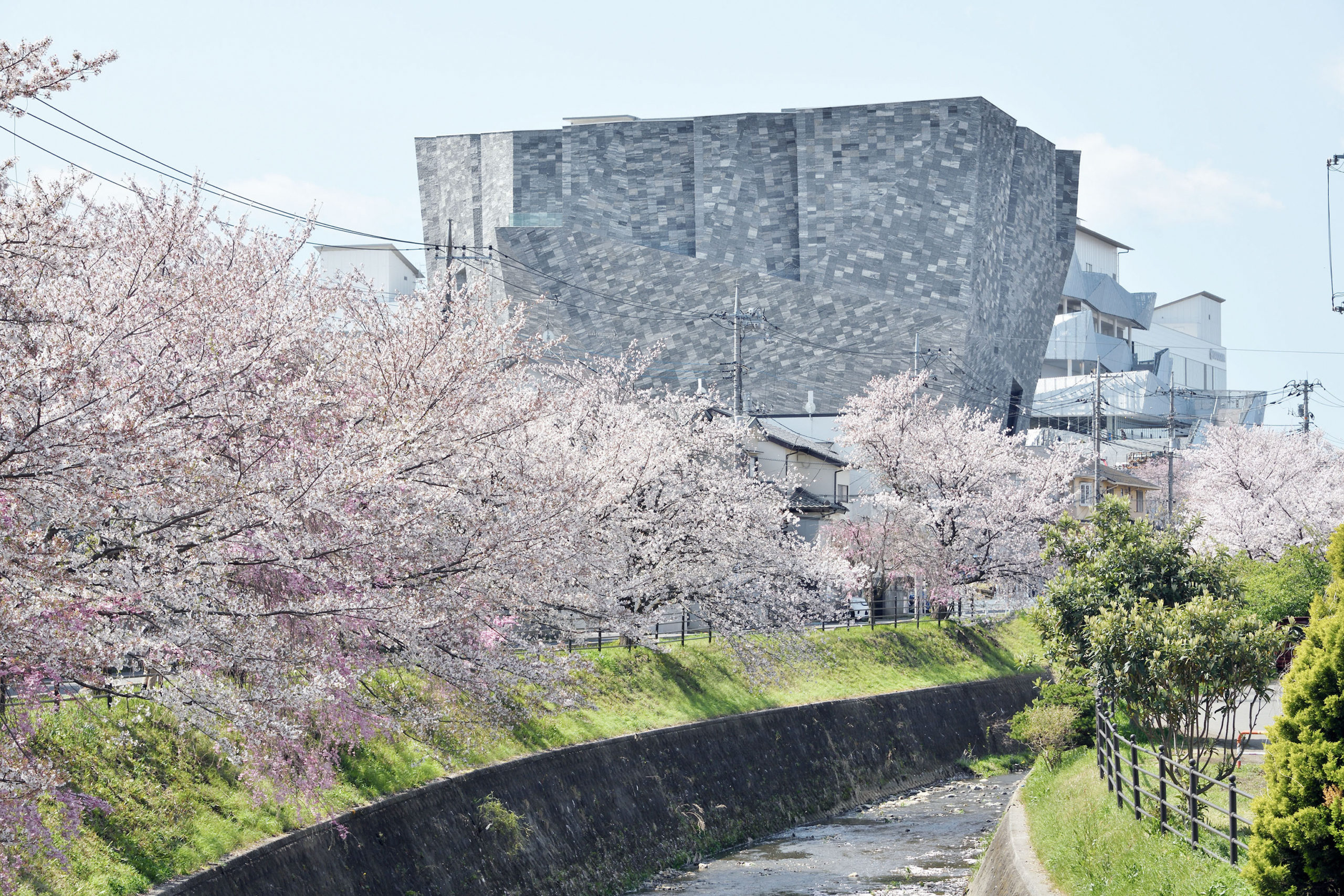 埼玉 県 所沢 市