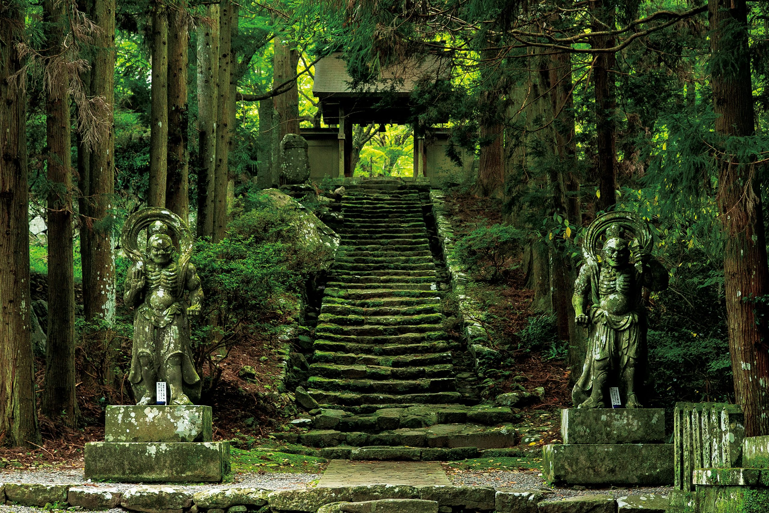 【国東市】関係人口創出・拡大プロジェクト