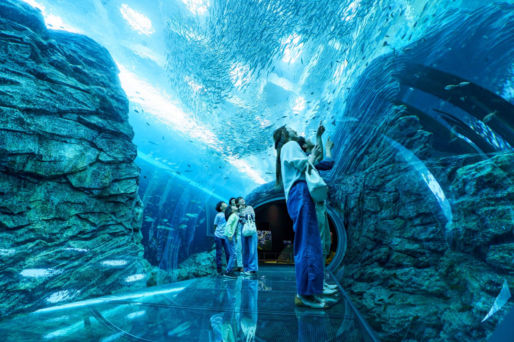 【上越市】水族博物館うみがたりの魅力向上
