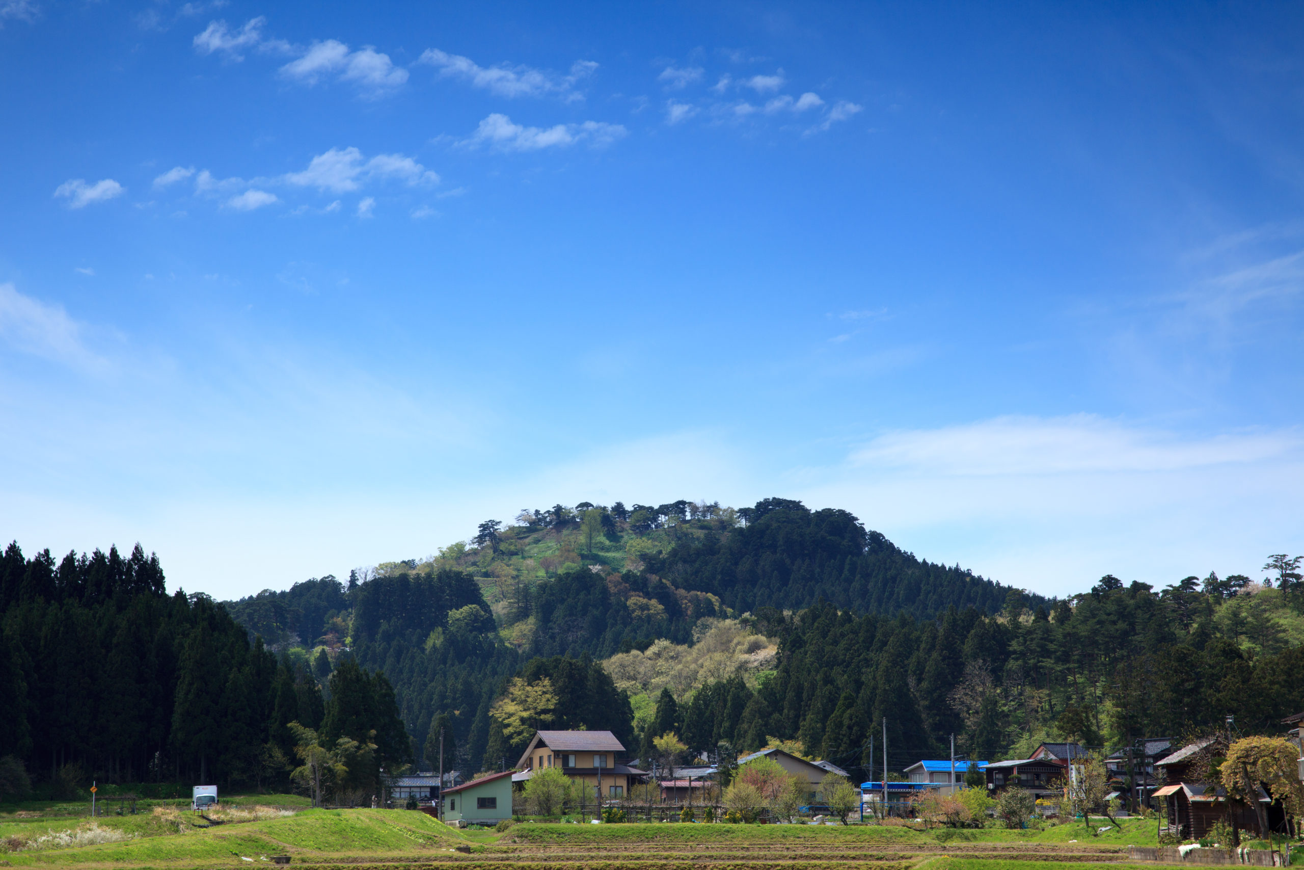 【上越市】春日山城跡の保存・整備、謙信公関連事業の推進