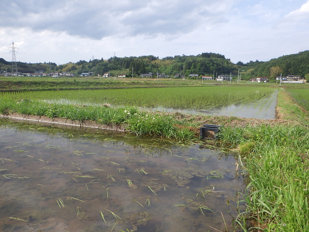 【福島市】田んぼダム事業