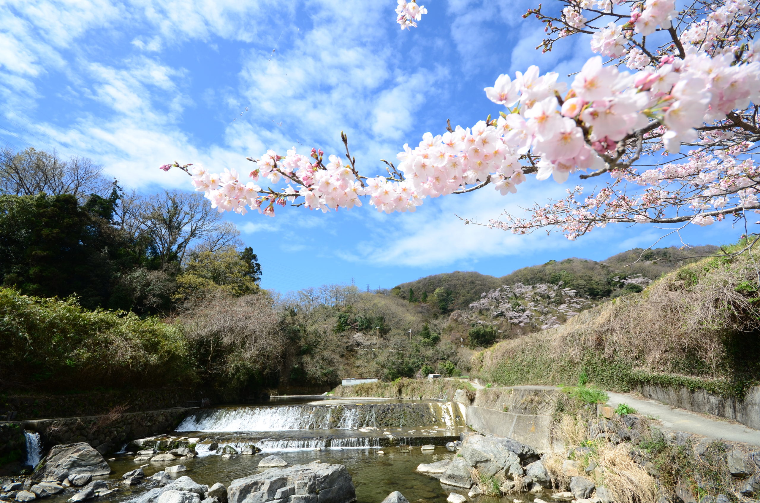 摂津 峡 公園