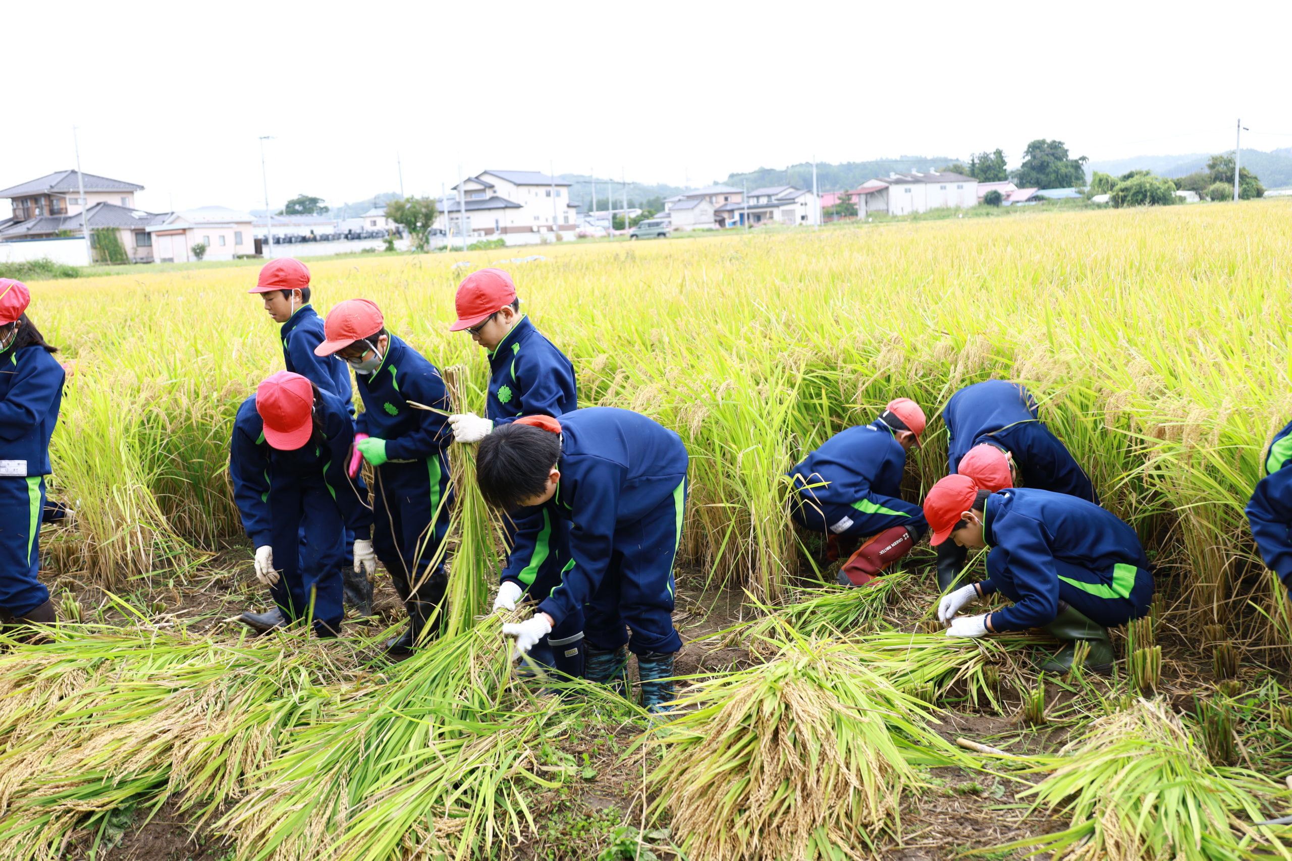 【大郷町】教育支援の充実と継続を～すべての子どもたちの未来のために～