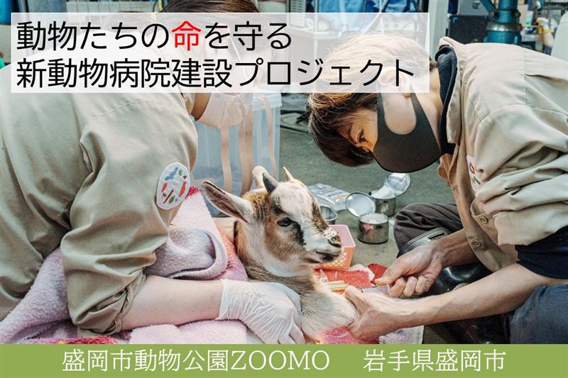 【盛岡市】新動物病院建設プロジェクト