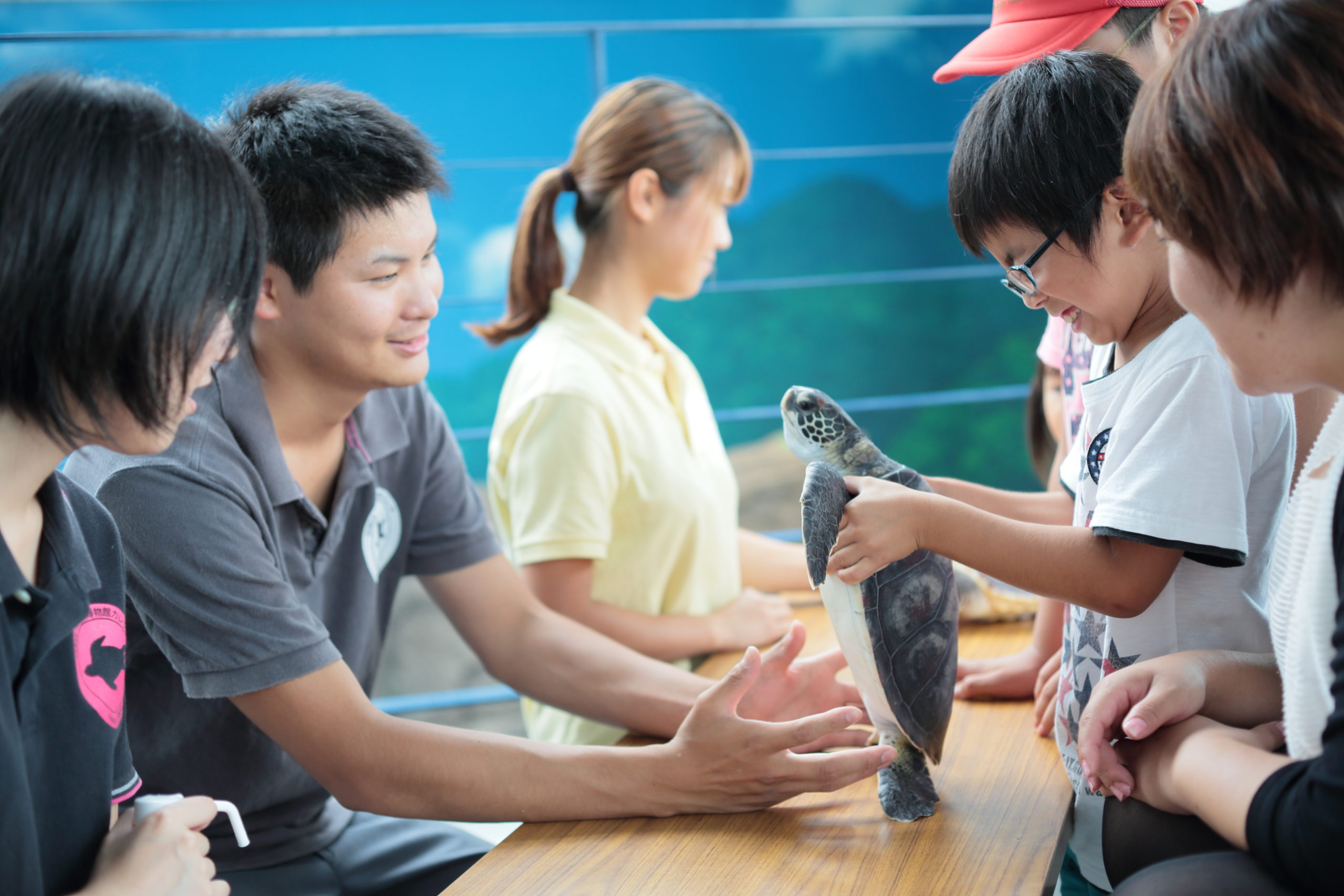 【美波町】未来へつなぐ！うみがめと共に生きるまちプロジェクト