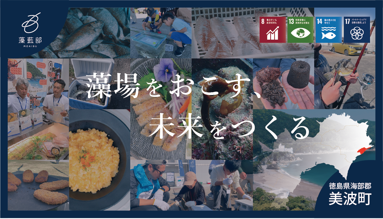 【美波町】藻場をおこす、未来をつくる