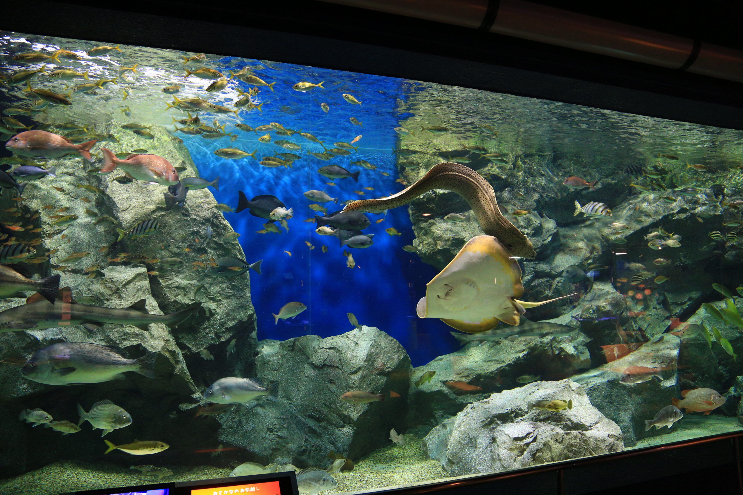 【碧南市】人と自然をつなぐ学びの拠点事業