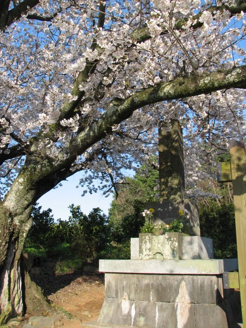 【熊本県玉東町】西南戦争１５０年の記憶と博愛の歩み（記念事業）