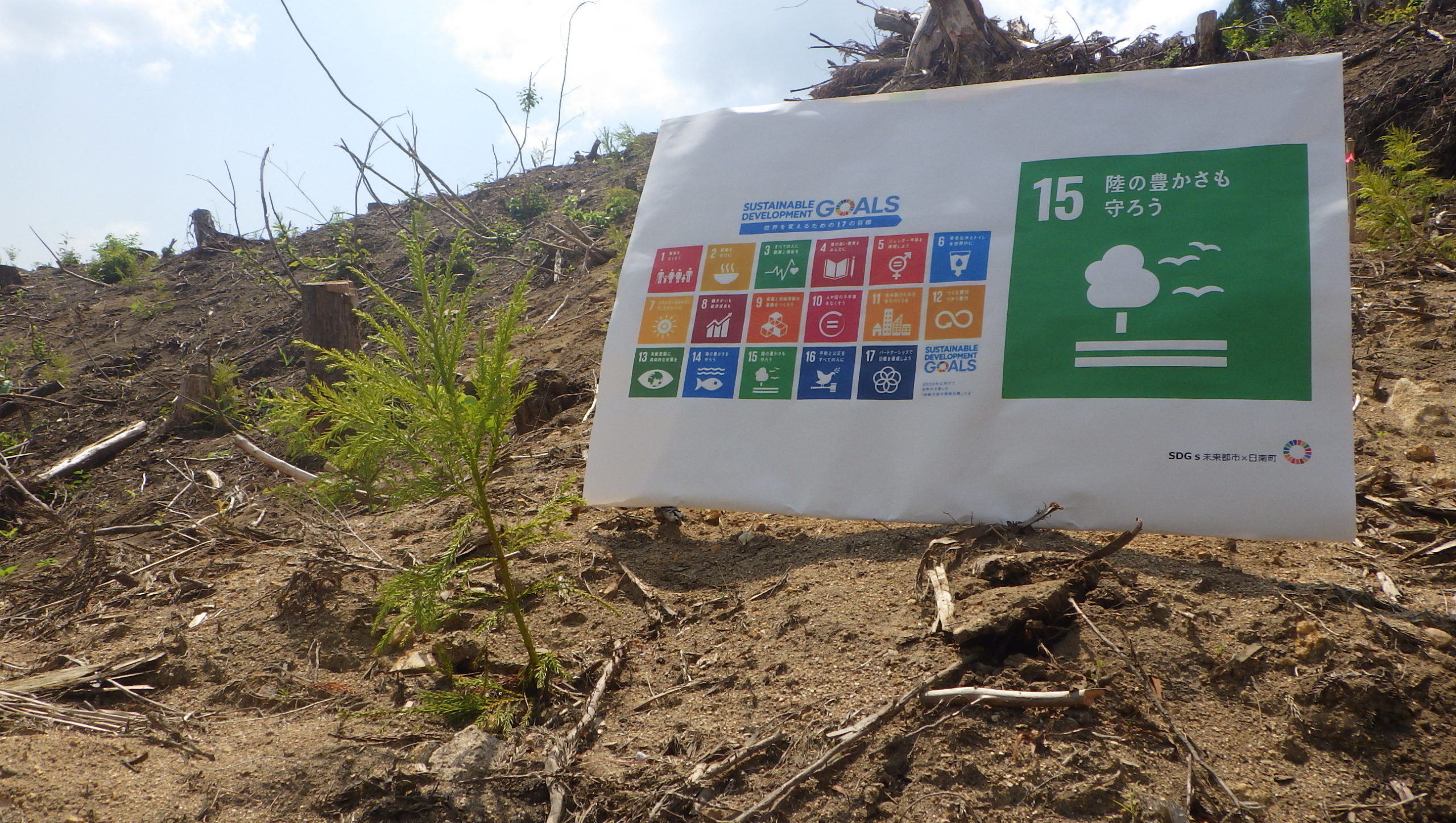 【日南町】SDGｓによる持続可能な共生・協働の森整備事業プロジェクト