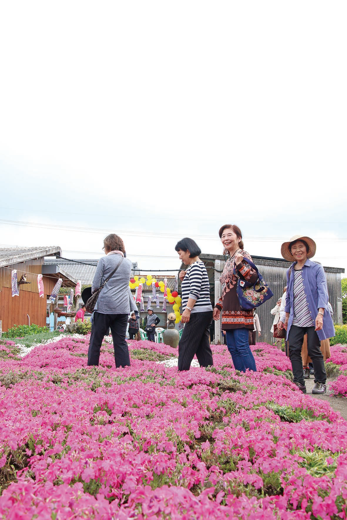 【曽於市】時代にあった地域をつくり、安心なくらしを守るとともに、地域と地域を連携する事業