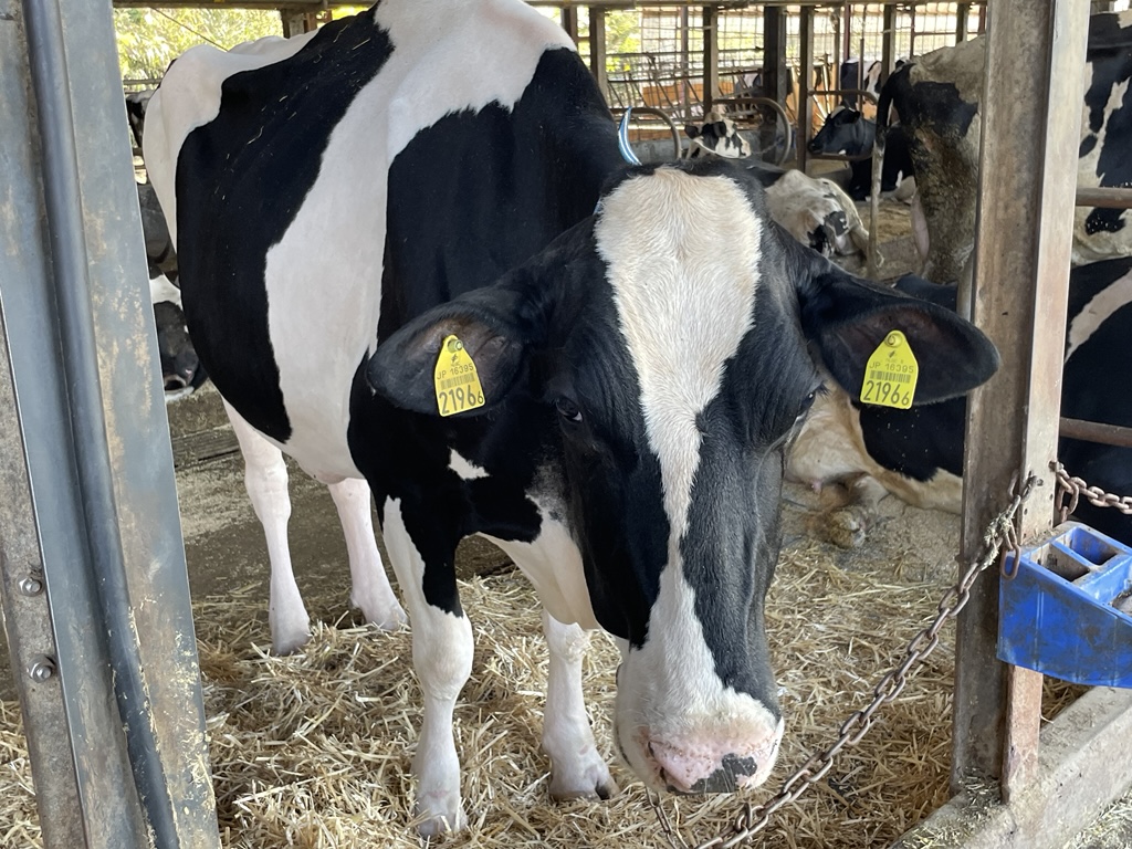 【函南町】世界に誇れる地域資源を共有し、効果的な活用により広域で連携して、魅力ある地域をつくる事業