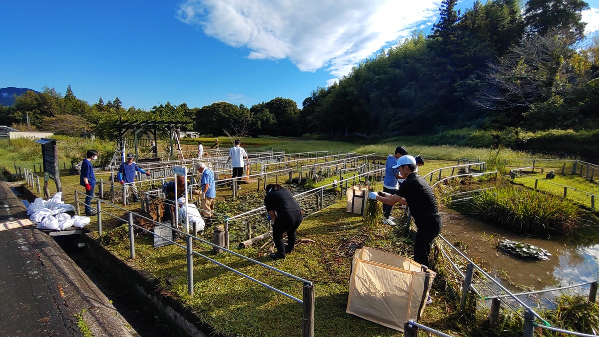 【新城市】地域自治区運営事業