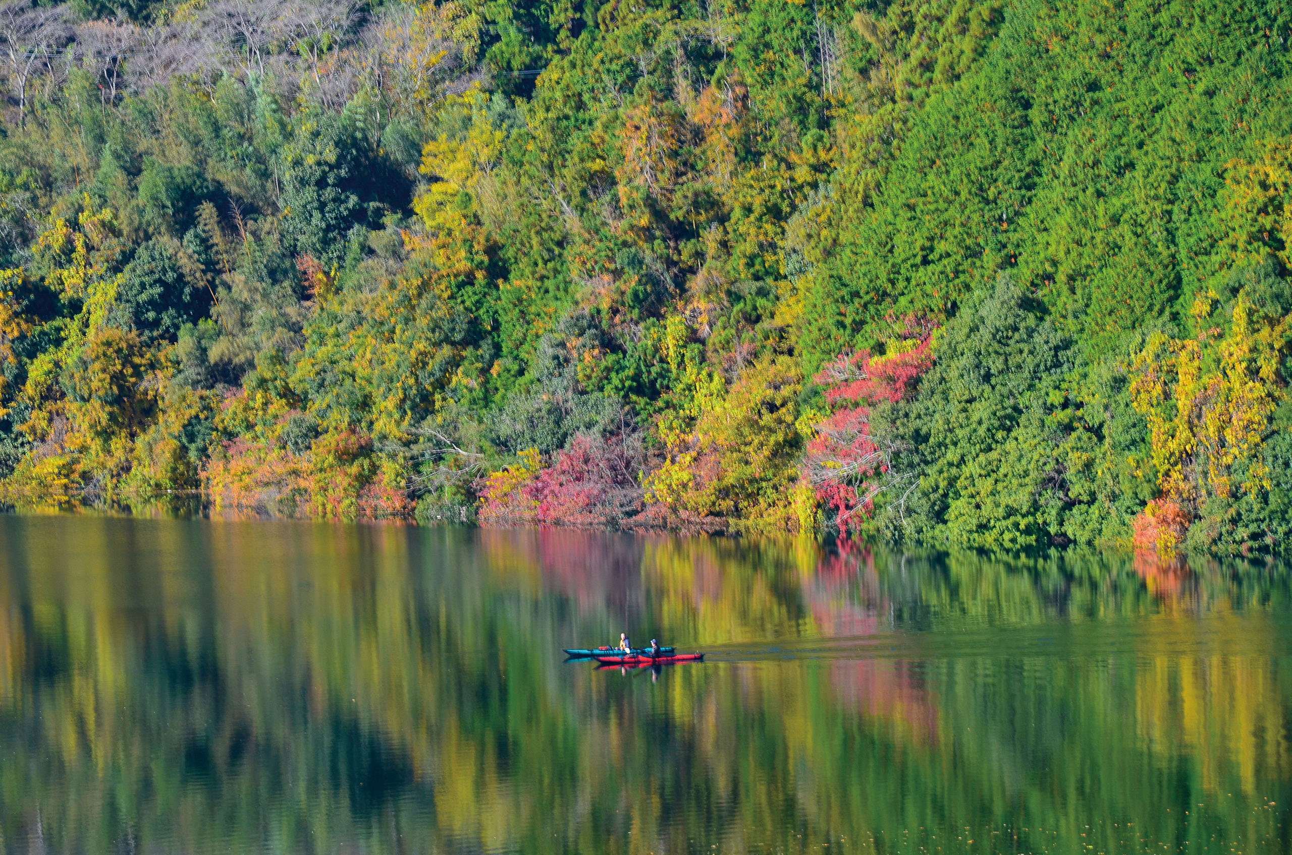 【名張市】スポーツ施設充実事業