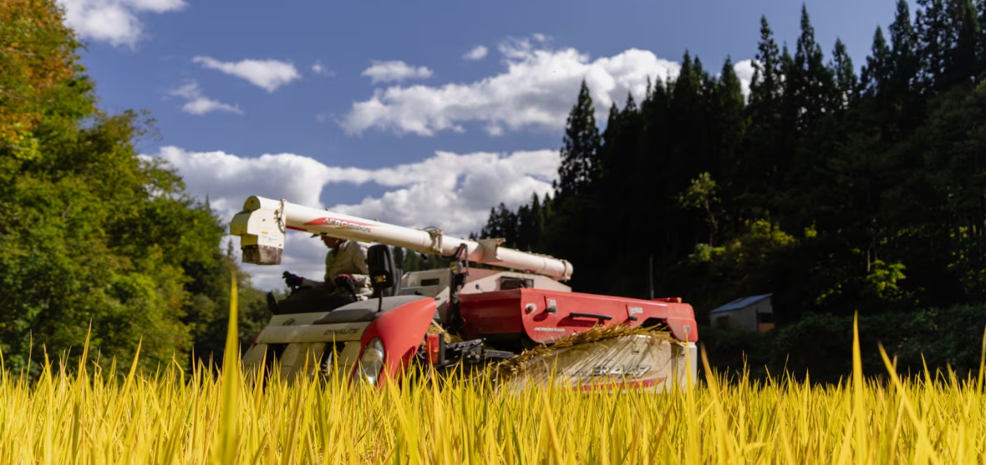 【三島町】（２）地域資源を生かしたしごとづくり事業