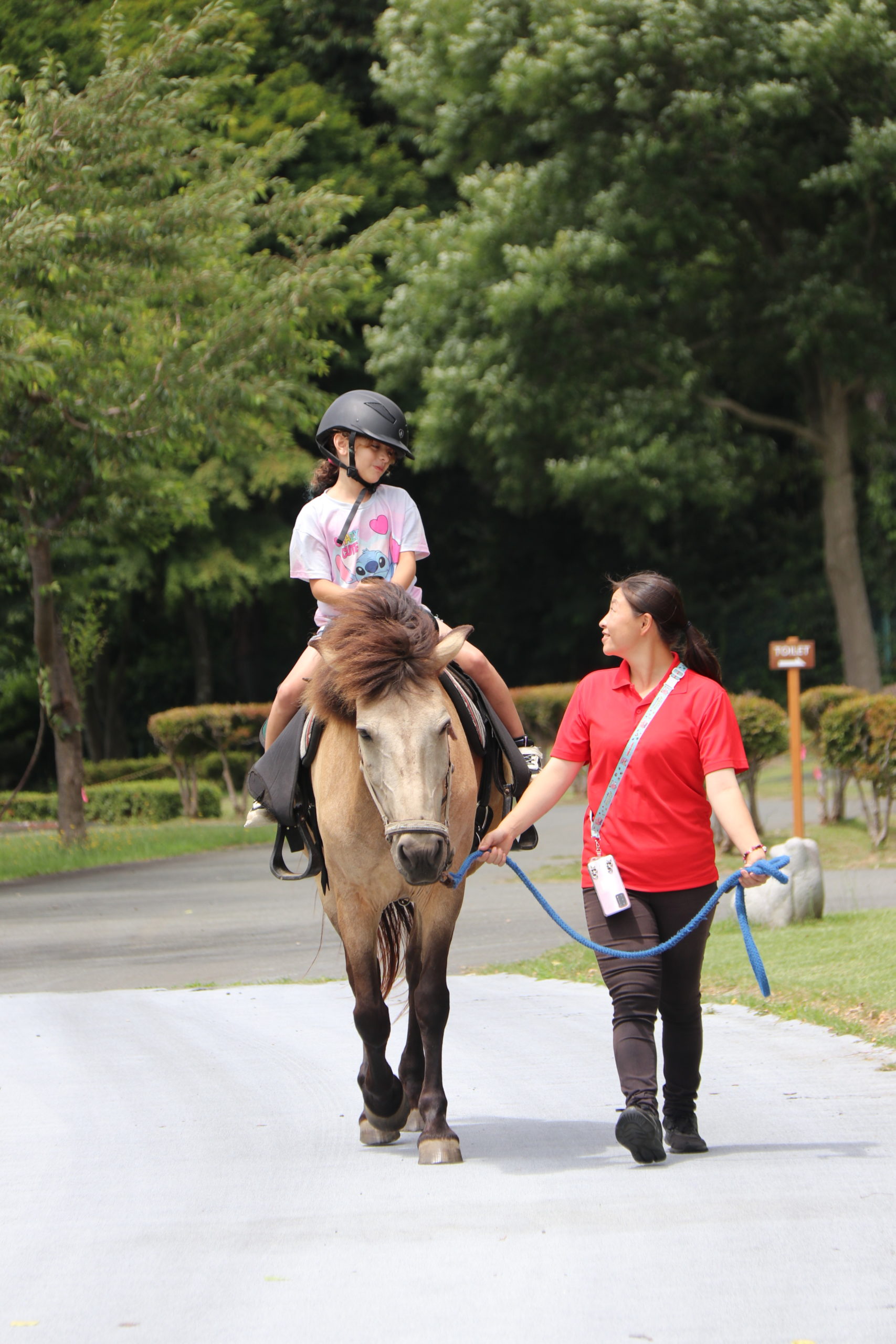 【三沢市】三沢市斗南藩記念観光村ホースふれあい事業