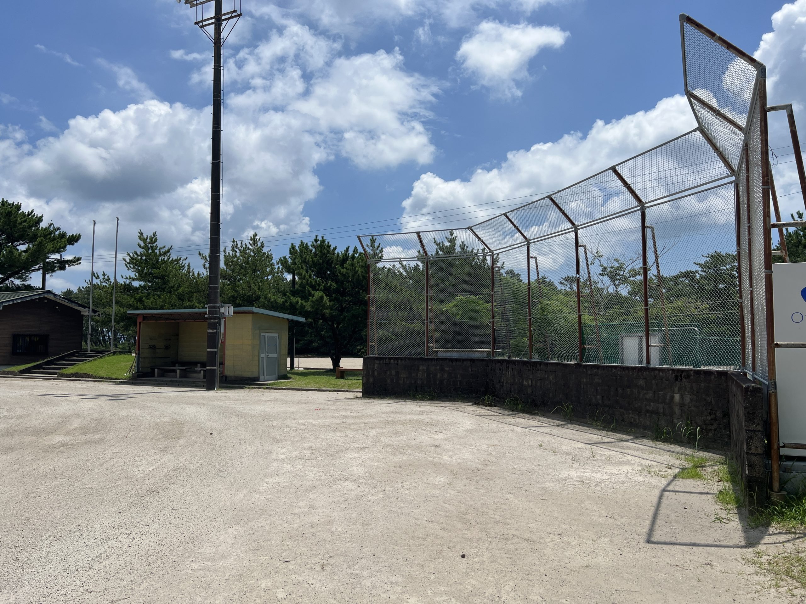 【大崎町】アスリート応援プロジェクト