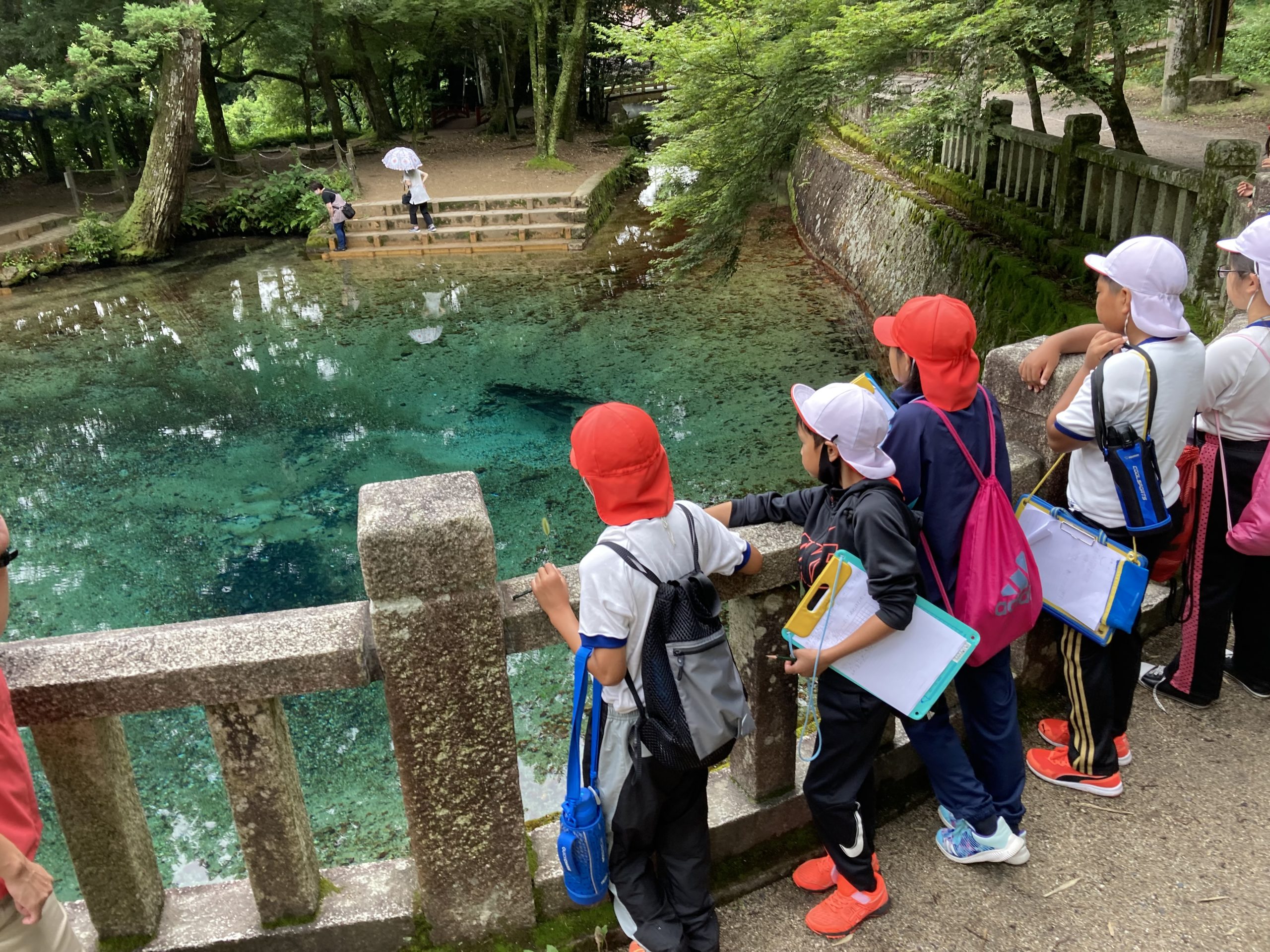 【美祢市】日本一のカルスト台地を守ろうプロジェクト