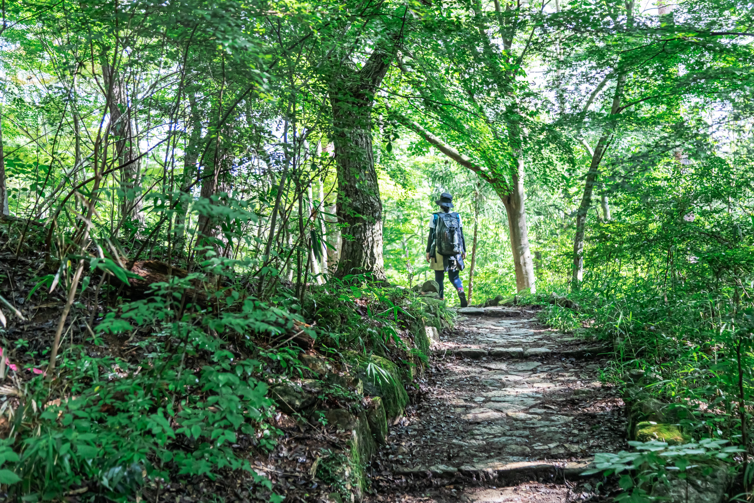 【神戸市】神戸登山プロジェクト