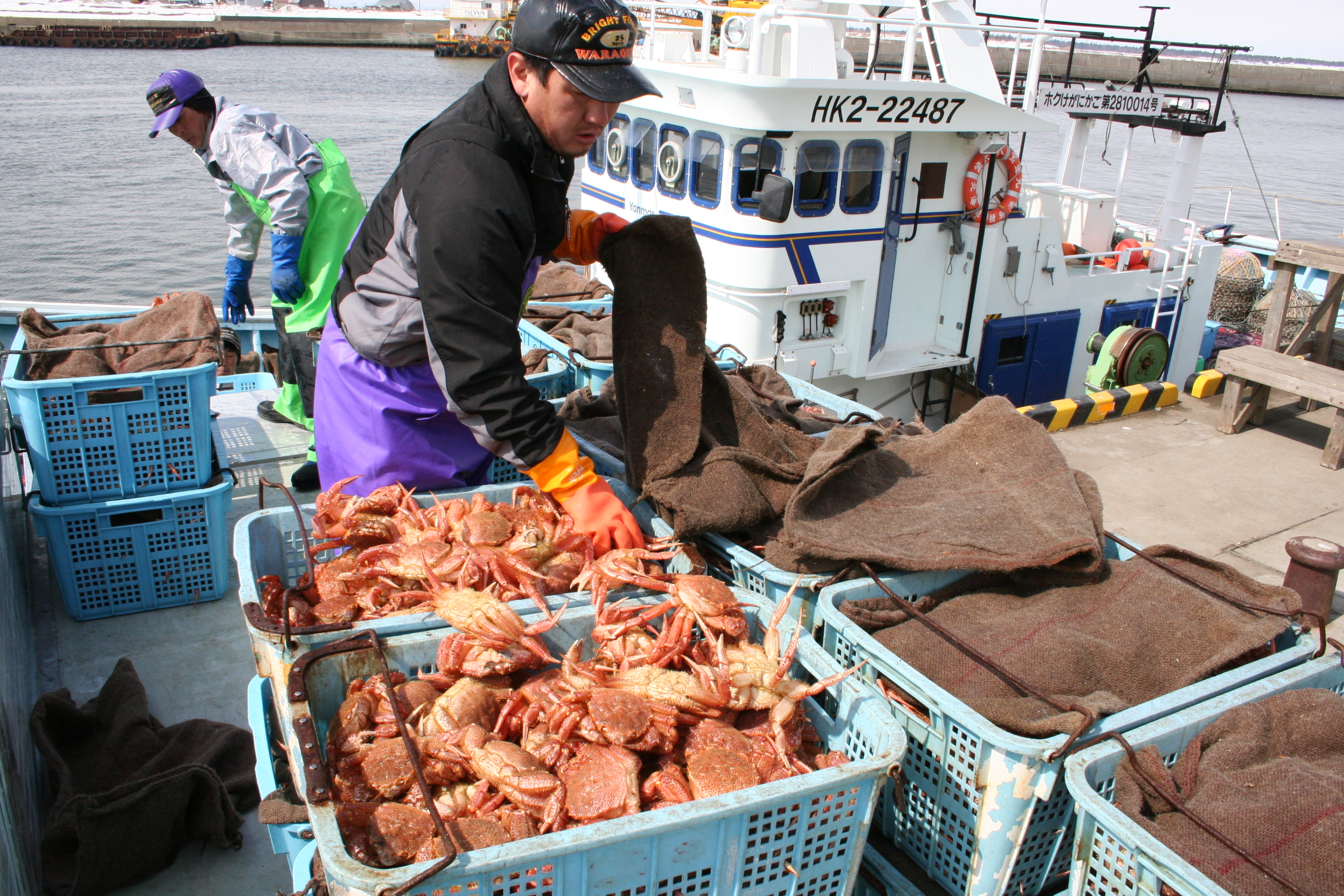 【浜頓別町】浜頓別しごとプロジェクト～かせぐ～事業