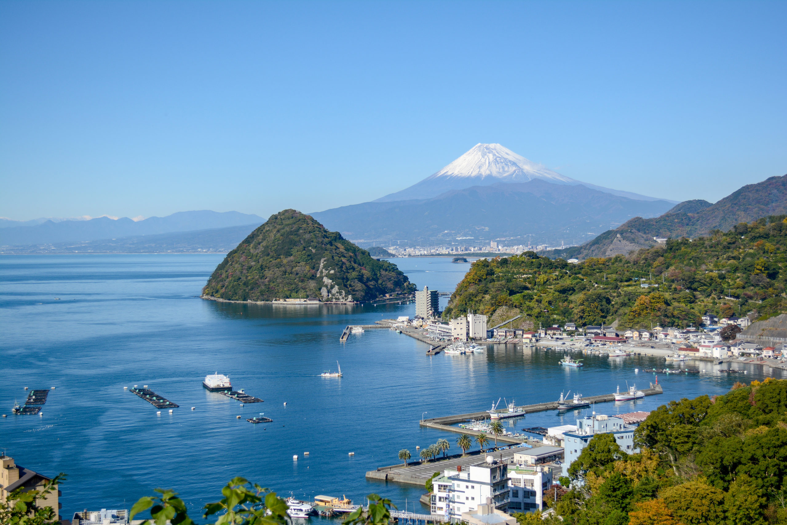 【沼津市】ぬまづ暮らし住み替え促進事業