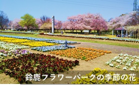 【鈴鹿市】鈴鹿フラワーパーク大型複合遊具のリニューアル