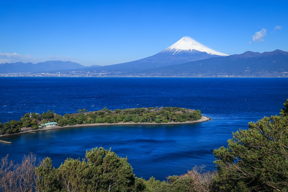 【静岡県】駿河湾や浜名湖など豊かな静岡の海を未来へ～海の環境保全やサクラエビの資源量の回復を目指す～