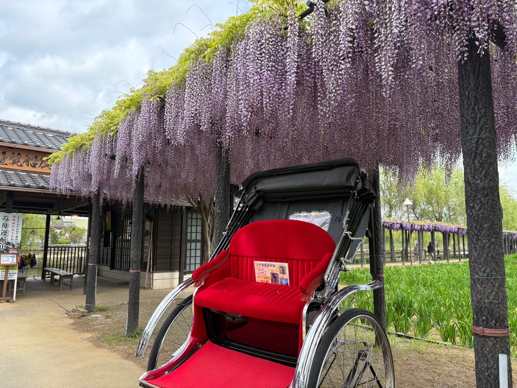 【潮来市】花あかり水の郷プロジェクト
